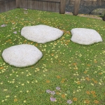Curved Stepping Stones