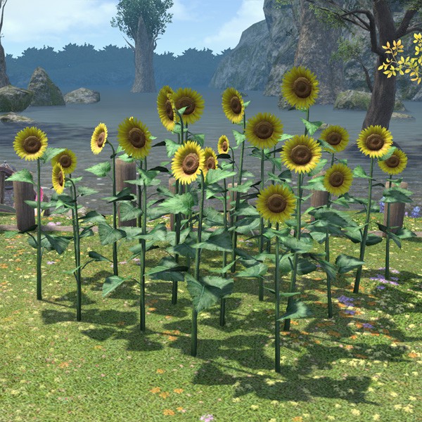 Sunflower Plot