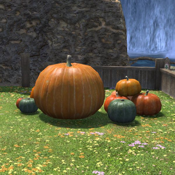 Haunted Pumpkin Set