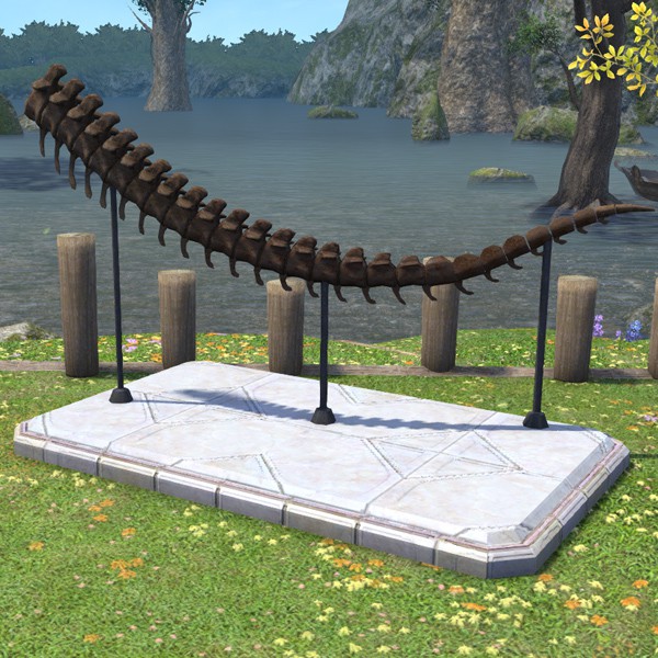 Dinosaur Tailbone