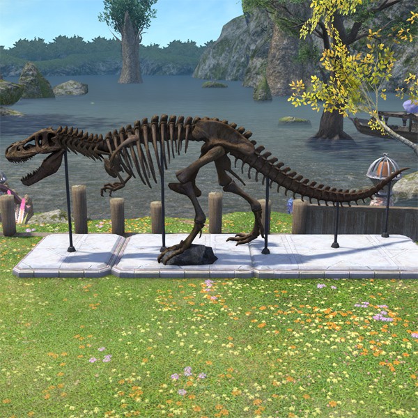 Dinosaur Tailbone