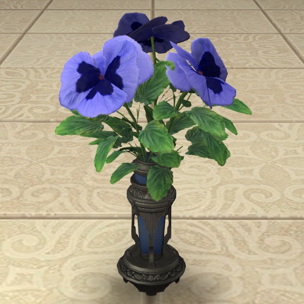 Blue Violas